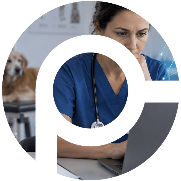 cyber insurance cyber insurance